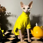 Yellow Dinosaur Costume Set for Sphynx