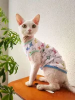 Colorful Louis Vuitton Tank Tops for Cats