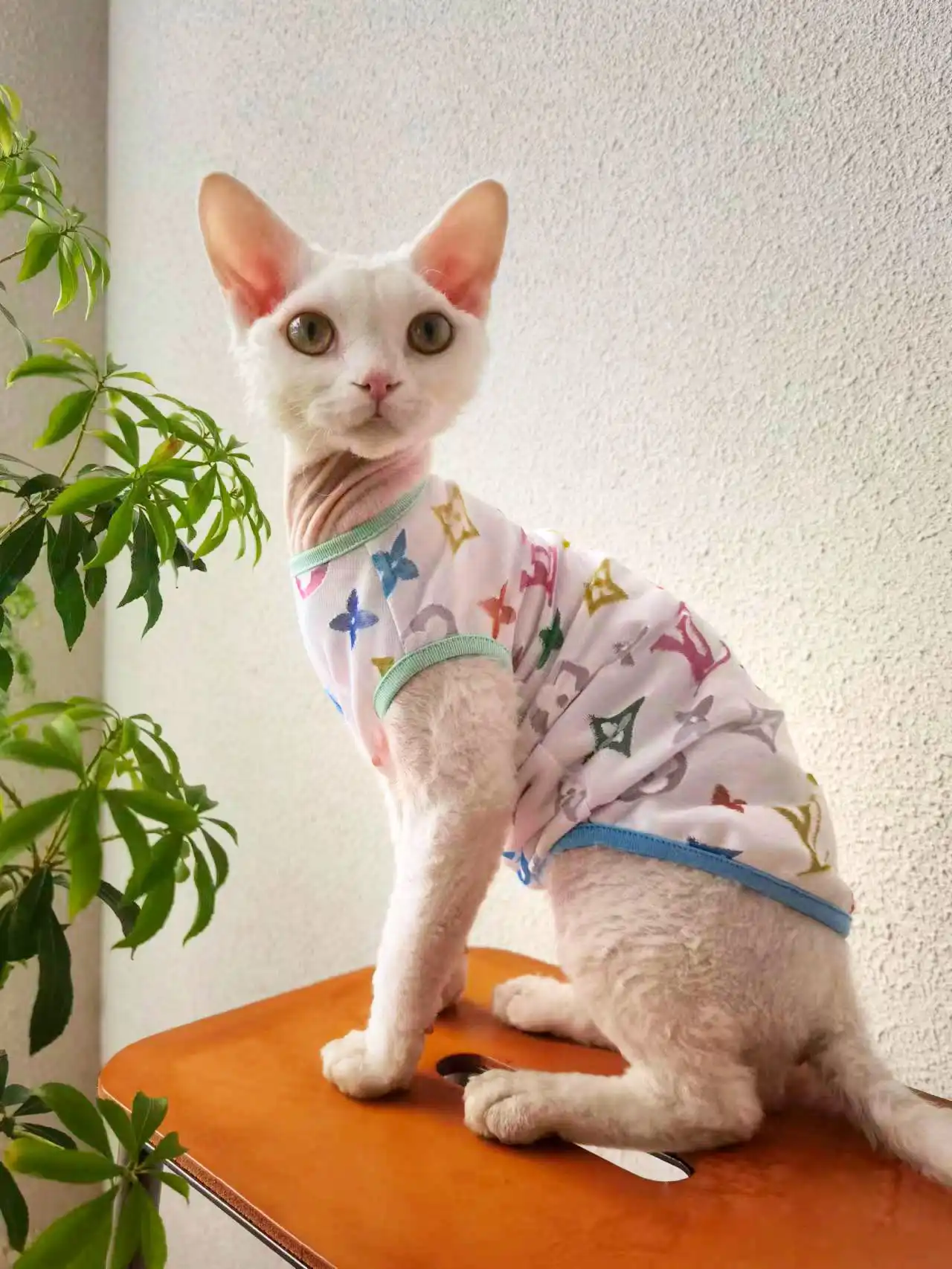 Colorful Louis Vuitton Tank Tops for Cats · YESWARMG