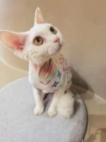 Colorful Louis Vuitton Tank Tops for Cats