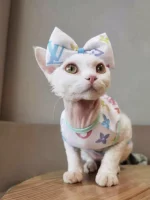 Colorful Louis Vuitton Tank Tops for Cats