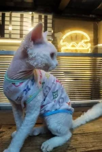 Colorful Louis Vuitton Tank Tops for Cats