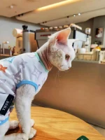 Colorful Louis Vuitton Tank Tops for Cats