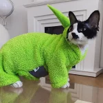 Pull mignon des Teletubbies pour chats Sphynx - Vert