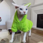 Cute Teletubbies Sweaters for Sphynx Cats - Green