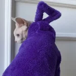 Cute Teletubbies Sweaters for Sphynx Cats - Purple