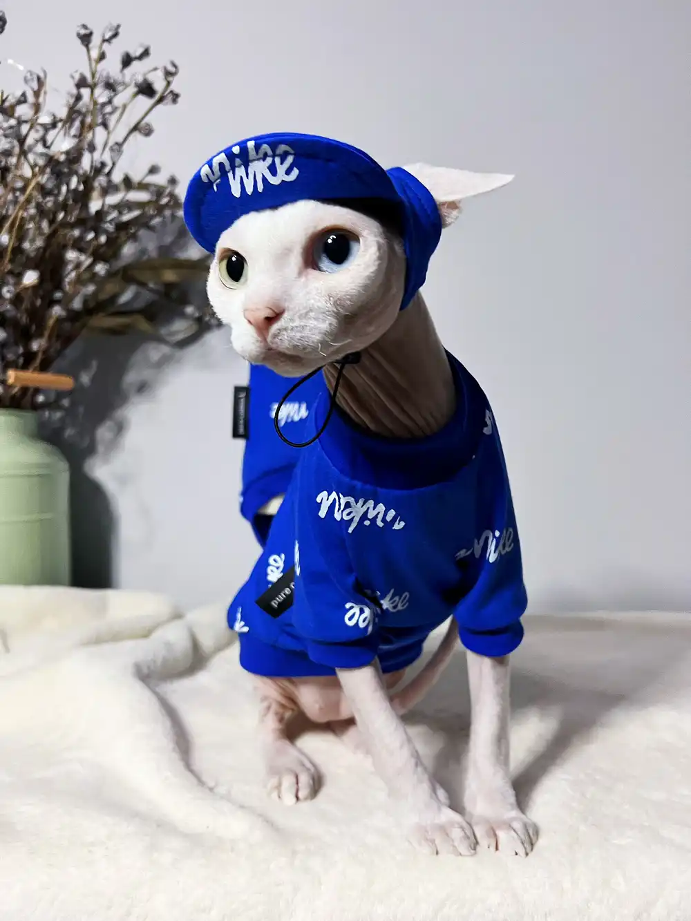 Louis Vuitton Cat Shirt Get - Yeswarmg sphynx clothes