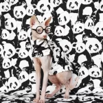 Panda Pattern Shirt for Sphynx