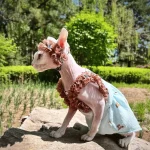 Cotton Lace Bear Dress for Cats