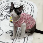 Pink Leopard Tank Tops for Sphynx, Devon Rex