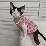 Pink Leopard Tank Tops for Sphynx, Devon Rex