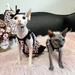 Black Pink Leopard Tank Top Dress for Sphynx