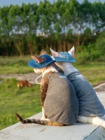 Bucket Hat with Ear Hole for Cats - Denim