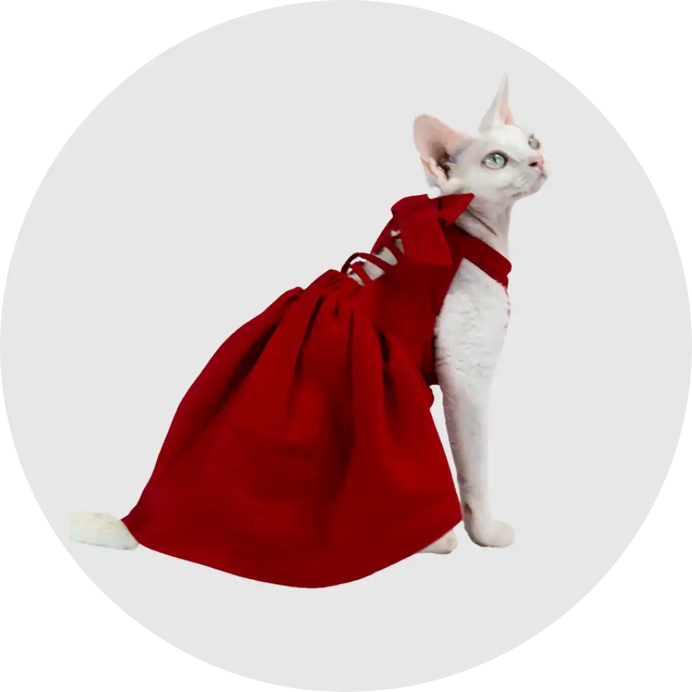 Cat Clothes - Dresses