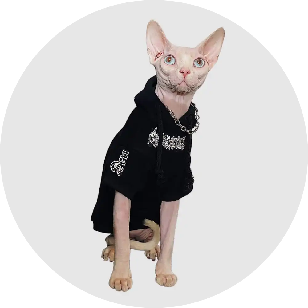 Cat Clothes - Hoodies