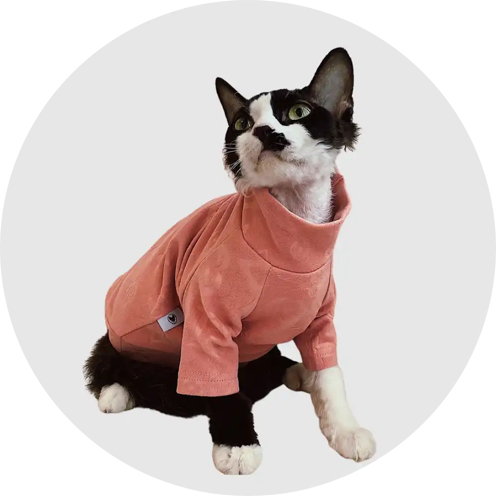 Cat Clothes - T-shirts