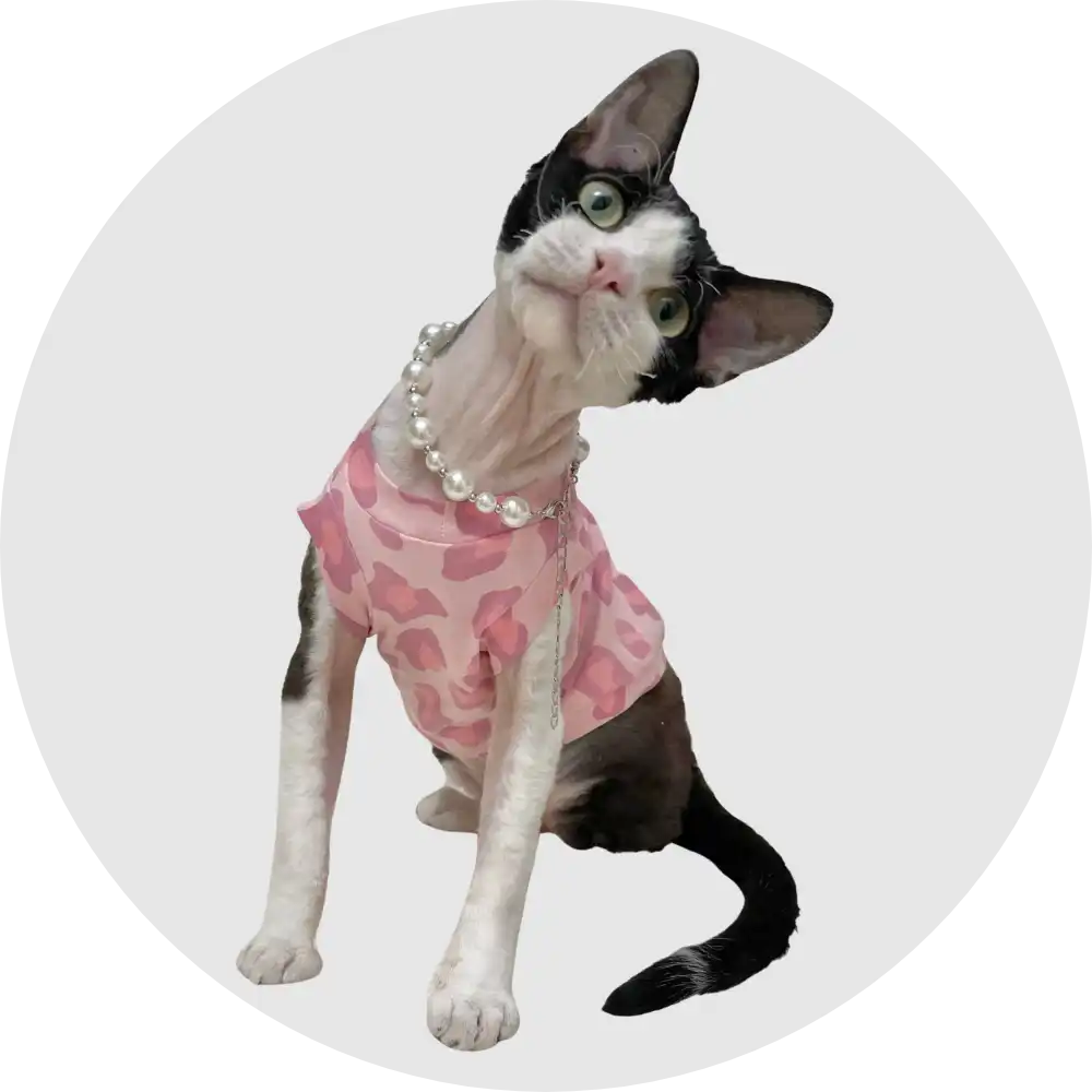 Cat Clothes - Tank tops