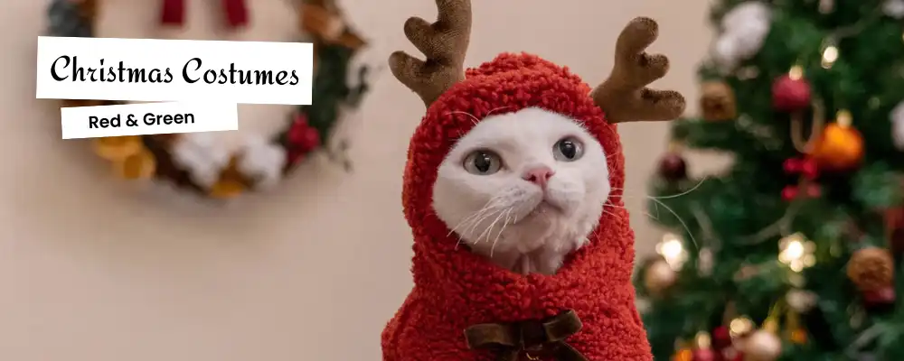 Christmas Costumes for Cats
