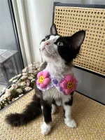 Floral Shawl Collar Hairless Cat Accessories