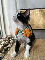 Floral Shawl Collar Hairless Cat Accessories