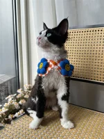 Floral Shawl Collar Hairless Cat Accessories