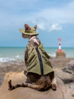 Outdoor Military Denim Vest for Sphynx