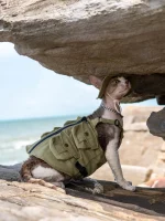 Outdoor Military Denim Vest for Sphynx