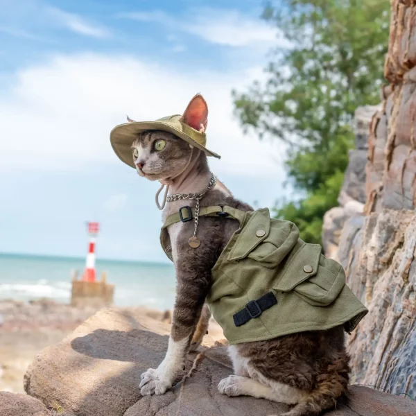 Outdoor Military Denim Vest for Sphynx