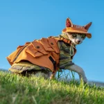 Outdoor Military Denim Vest for Sphynx