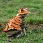 Outdoor Military Denim Vest for Sphynx