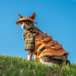 Outdoor Military Denim Vest for Sphynx