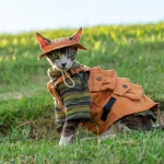 Outdoor Military Denim Vest for Sphynx