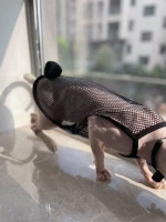 Sexy Black Mesh Tank Top for Sphynx Cat