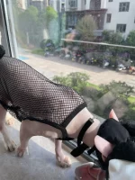 Sexy Black Mesh Tank Top for Sphynx Cat