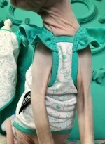 Tiffany Lace Sleeves Tank Tops for Sphynx