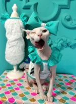 Tiffany Lace Sleeves Tank Tops for Sphynx