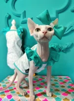 Tiffany Lace Sleeves Tank Tops for Sphynx