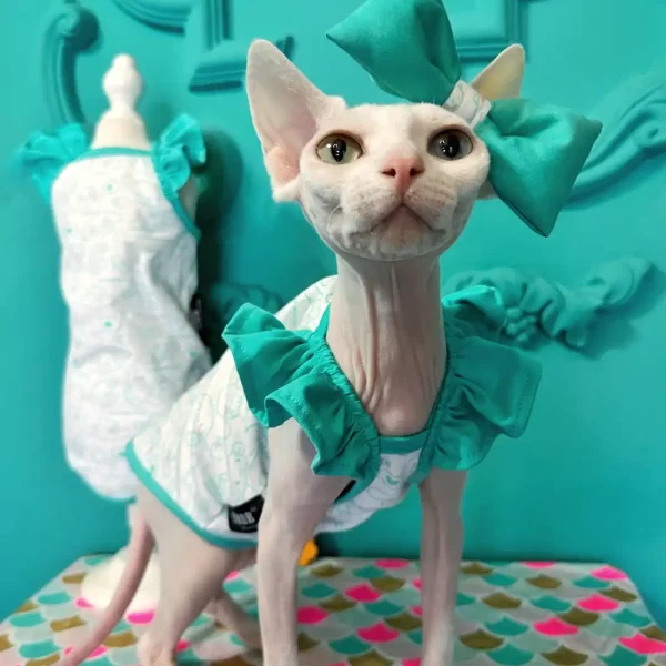 Tiffany Lace Sleeves Tank Tops for Sphynx