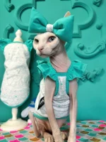 Tiffany Lace Sleeves Tank Tops for Sphynx