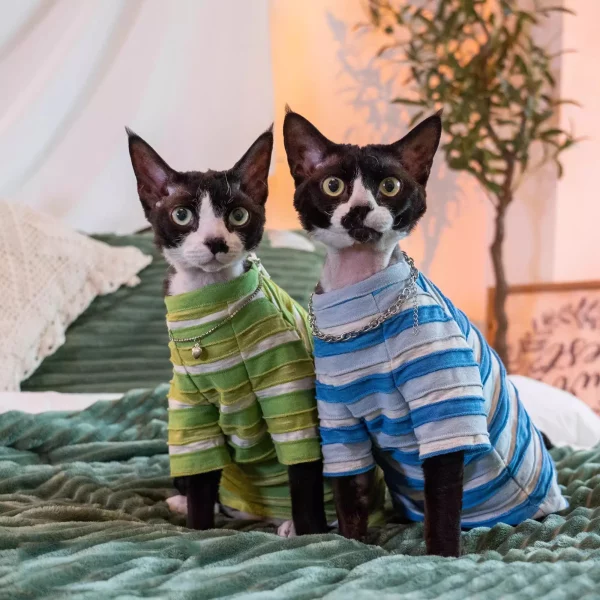 Vintage Stripes Shirt for Cats