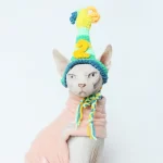 Birthday Hat for Cats - Crochet Number Hat