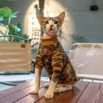 Camouflage Cotton Pullover Sweatshirt for Cats - Coffee