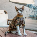 Camouflage Cotton Pullover Sweatshirt for Cats - Coffee