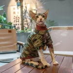 Camouflage Cotton Pullover Sweatshirt for Cats - Dark brown