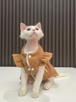 Corduroy Lace Dress for Kittens - Orange