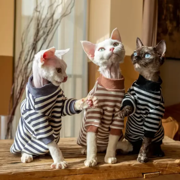 Cotton Striped Bottoming Shirt for Cats