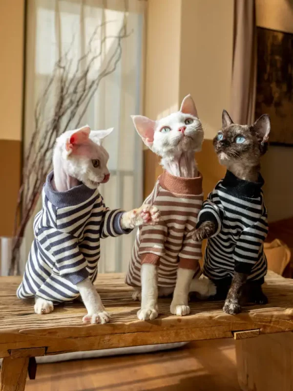 Cotton Striped Bottoming Shirt for Cats