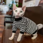 Cotton Striped Bottoming Shirt for Cats - Black