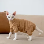 Four-legged Onesies High Elasticity Pajamas for Cats - Brown