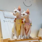 Pure Cotton Bow Tank Tops for Cats